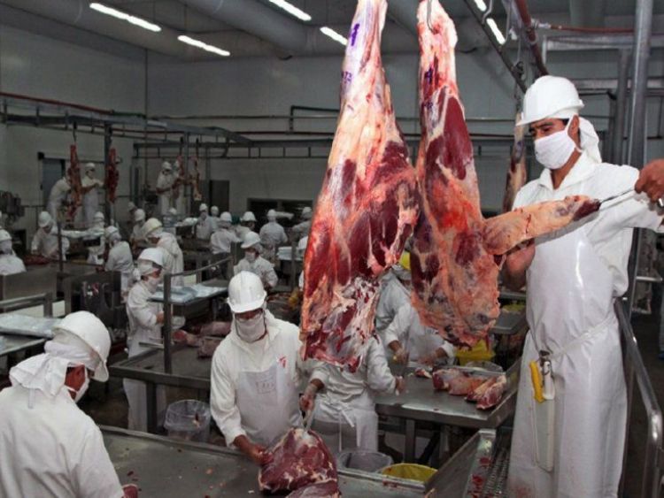 Exportaciones de carne repuntaron 63% en mayo